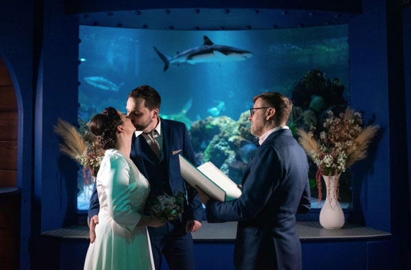 Im Unterwasser-Tunnel des Timmendorfer Sea Life kann man jetzt auch heiraten. Foto: SEA LIFE