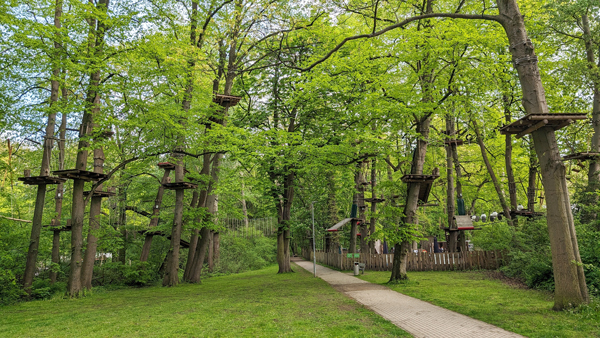 In einem Ranking schaffte es der Travemünder Kletterwald am Kalvarienberg auf den dritten Platz. Foto: Archiv/HN