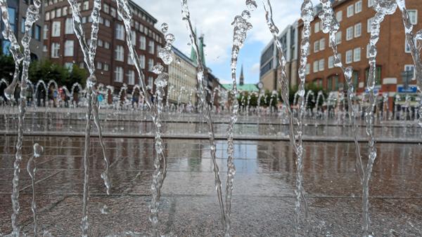 Die Verbraucherzentrale Schleswig-Holstein (VZSH) lädt am Dienstag, 17. September 2024, zu einem Klimaspaziergang durch Lübeck. Foto: Archiv/HN