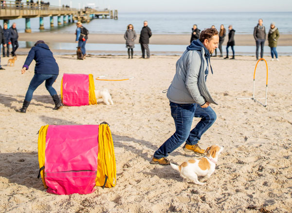 Am Strand wird bei frischer Seeluft die Halter-Hund-Bindung gestärkt. Foto: TALB
