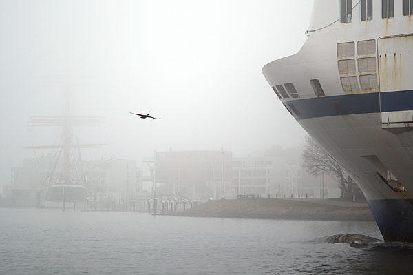 Auch am Freitagmorgen gab es an der Küste dichten Nebel. Fotos: Karl Erhard Vögele