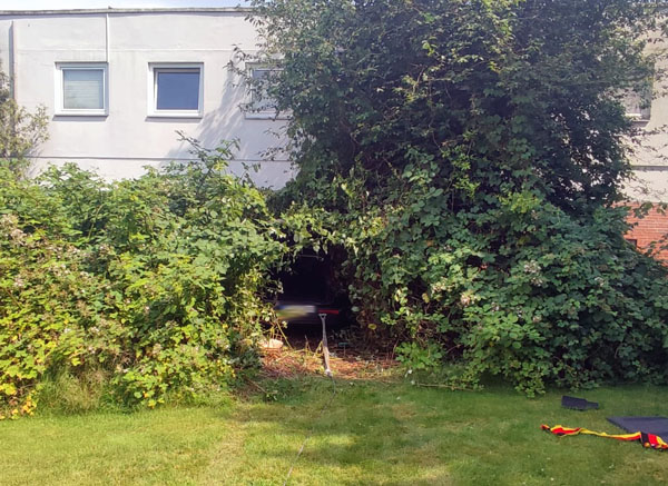 Der Volvo fuhr durch ein Gebüsch in das Haus. Fotos: STE