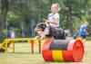Am 13. und 14. Juli 2024 veranstaltet der Hundesportverein Groß Grönau 2000 e.V. sein diesjähriges Turnierhundesportfest. Fotos: Verein