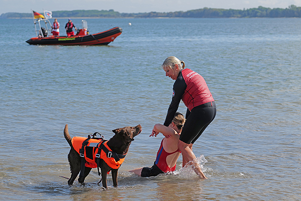 „Seehund“ Nala ist kein bisschen wasserscheu. Sie ist sogar geprüfte Wasserrettungshündin. Fotos: Karl Erhard Vögele