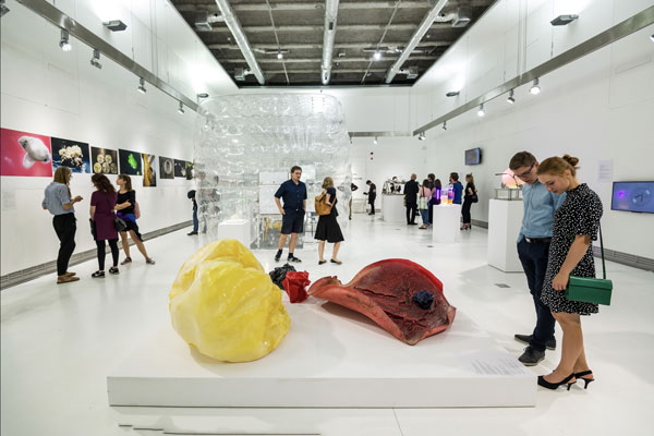 Lübecker Künstler können sich jetzt für eine Ausstellung beim Hansetag bewerben. Foto: HL