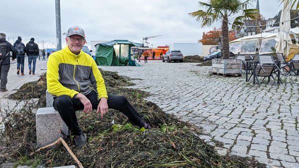 Knapp eine Woche nach der Sturmflut müssen Wochenmarkt-Händler Andreas Conrad und seine Kollegen jetzt schon zum zweiten Mal ihre Waren zwischen Algenbergen anbieten. Fotos: Helge Normann