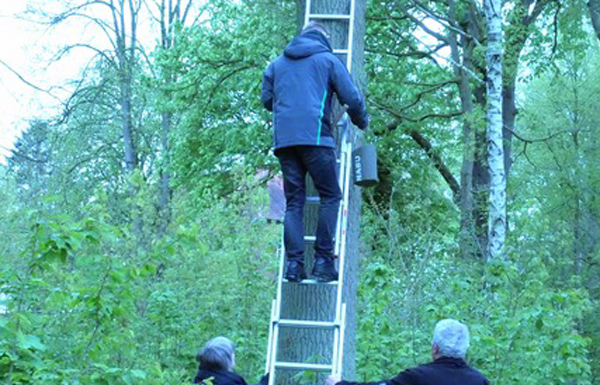 BUKS-Mitglieder beim Aufhängen von Vogelnistkästen. Foto: Veranstalter