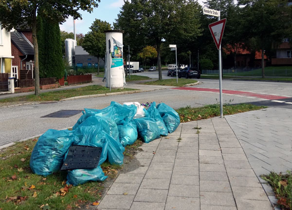 Bei dem Herbstputz wurde viel Müll aus den Grünanlagen geholt. Foto: Veranstalter