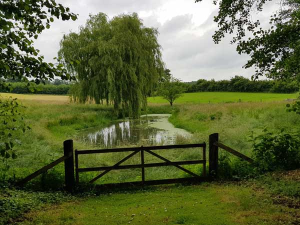 Lübeck live: Wandertour: Von Bad Oldesloe zum Grabauer See