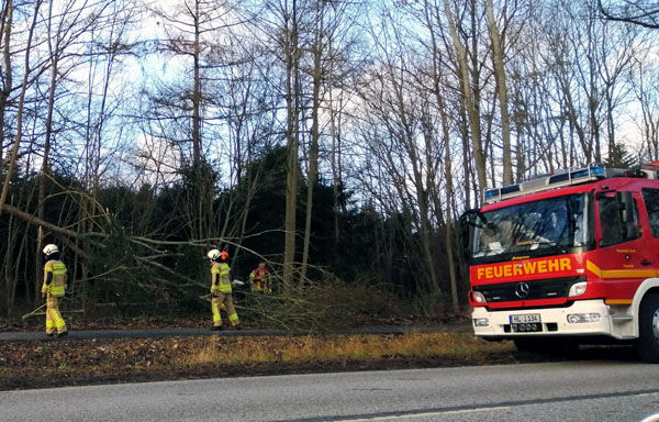 Der Deutsche Wetterdienst hat erneut eine Vorabinformation Unwetter veröffentlicht. Foto: STE