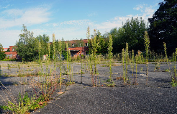 Im Jahr 2006 wurde der Schlachthof geschlossen. Im kommenden Jahr soll es eine Entwicklungsperspektive geben.