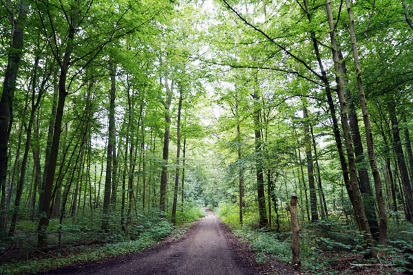 Die Teilnahme am Rundgang ist kostenlos. Foto: JW/Archiv