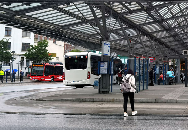 Der Lübecker Bundestagsabgeordnete Bruno Hönel setzt sich für ein regionales 29 Euro Ticket ein.